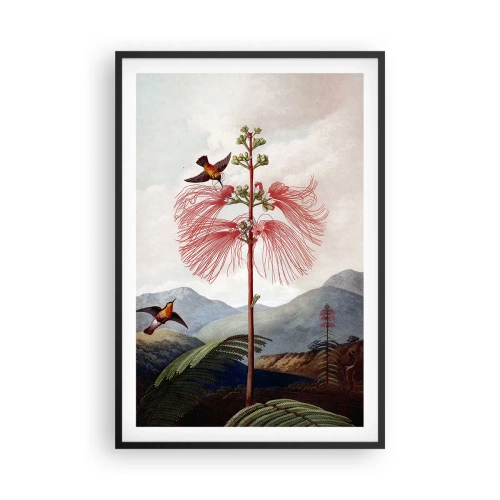 Affisch i svart ram - I ett tropiskt paradis - 61x91 cm