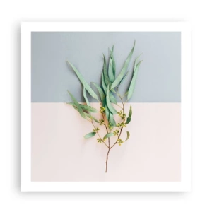 Affisch - Pastellens subtilitet - 60x60 cm