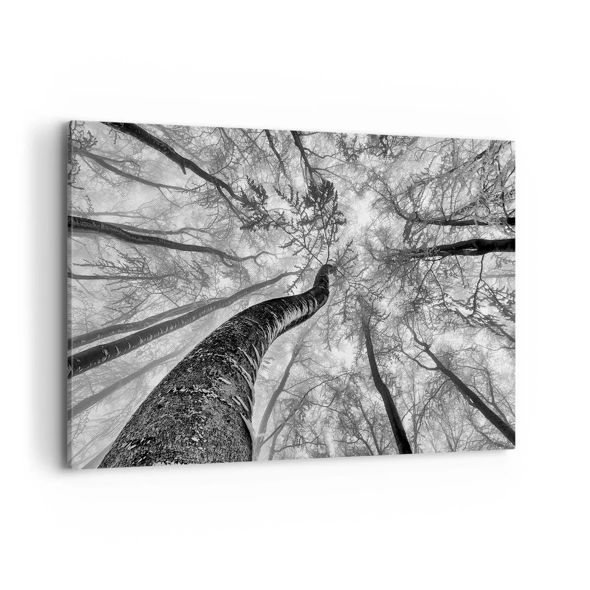 Canvastavla - Bild på duk - Kapplöpning mot ljuset - 120x80 cm