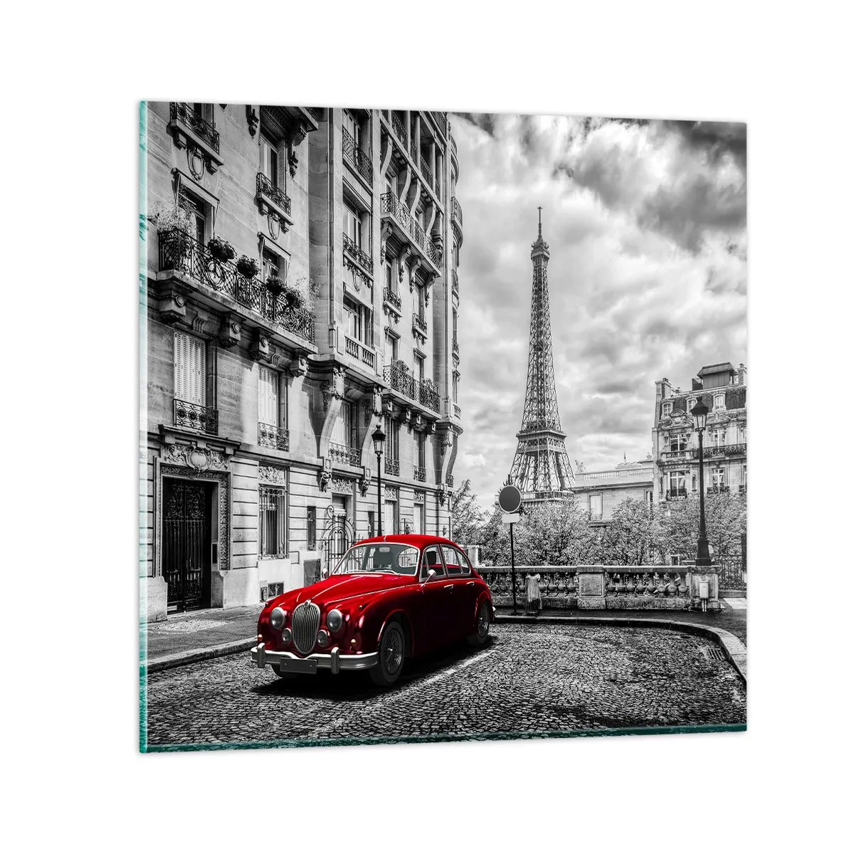 Glastavla - Bild på glas - Rovdjuret i staden - 50x50 cm