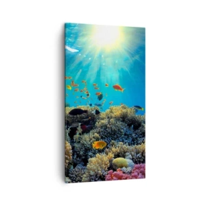 Canvastavla - Bild på duk - Undervatenskatter - 45x80 cm