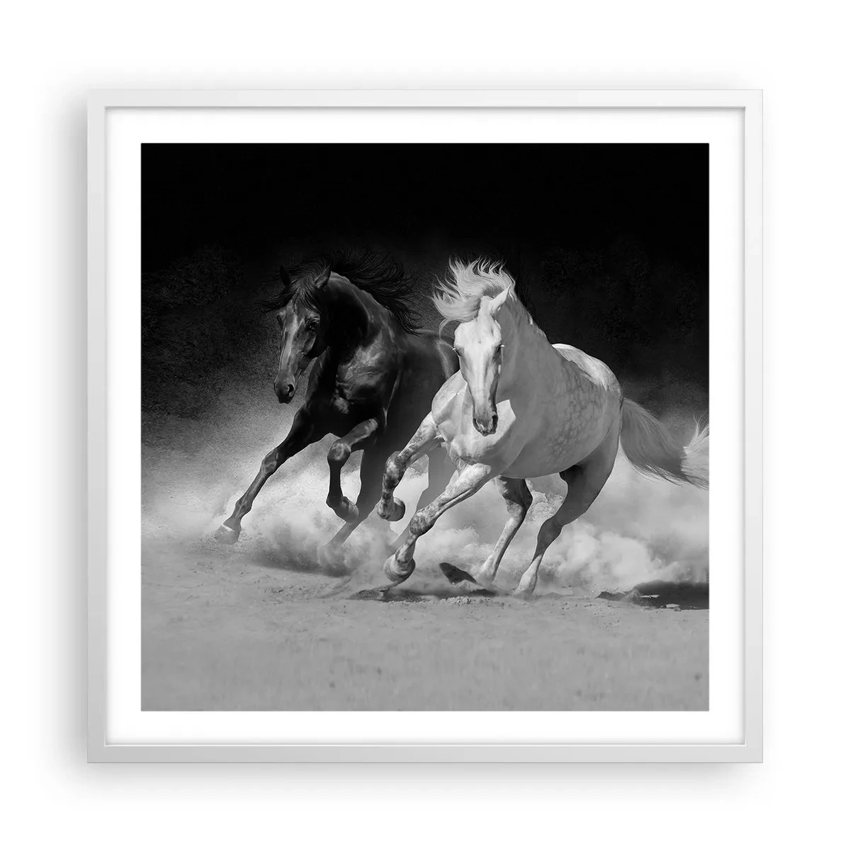 Affisch i vit ram - Frihetens galopp - 60x60 cm