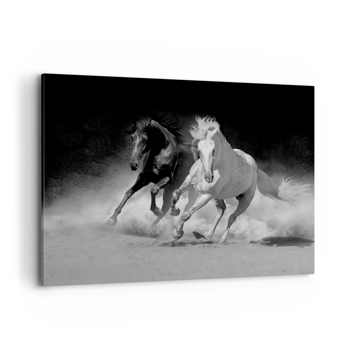 Canvastavla - Bild på duk - Frihetens galopp - 100x70 cm