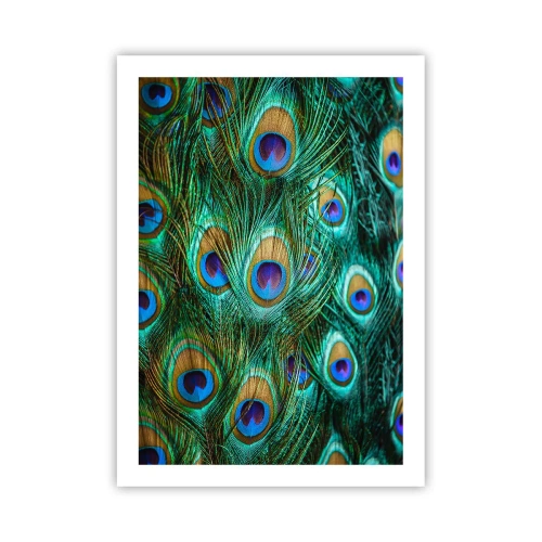 Affisch - Påfågels blick - 50x70 cm