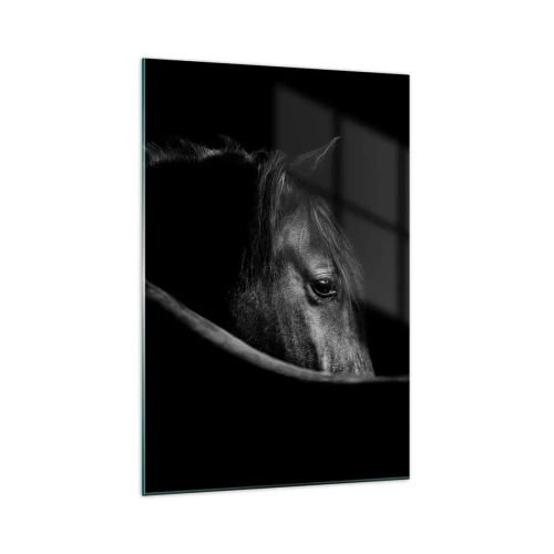 Glastavla - Bild på glas - Svart prins - 70x100 cm