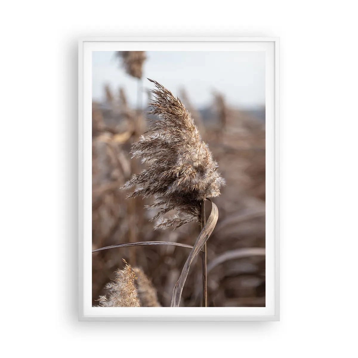 Affisch i vit ram - Dags att flyga bort med vinden - 70x100 cm