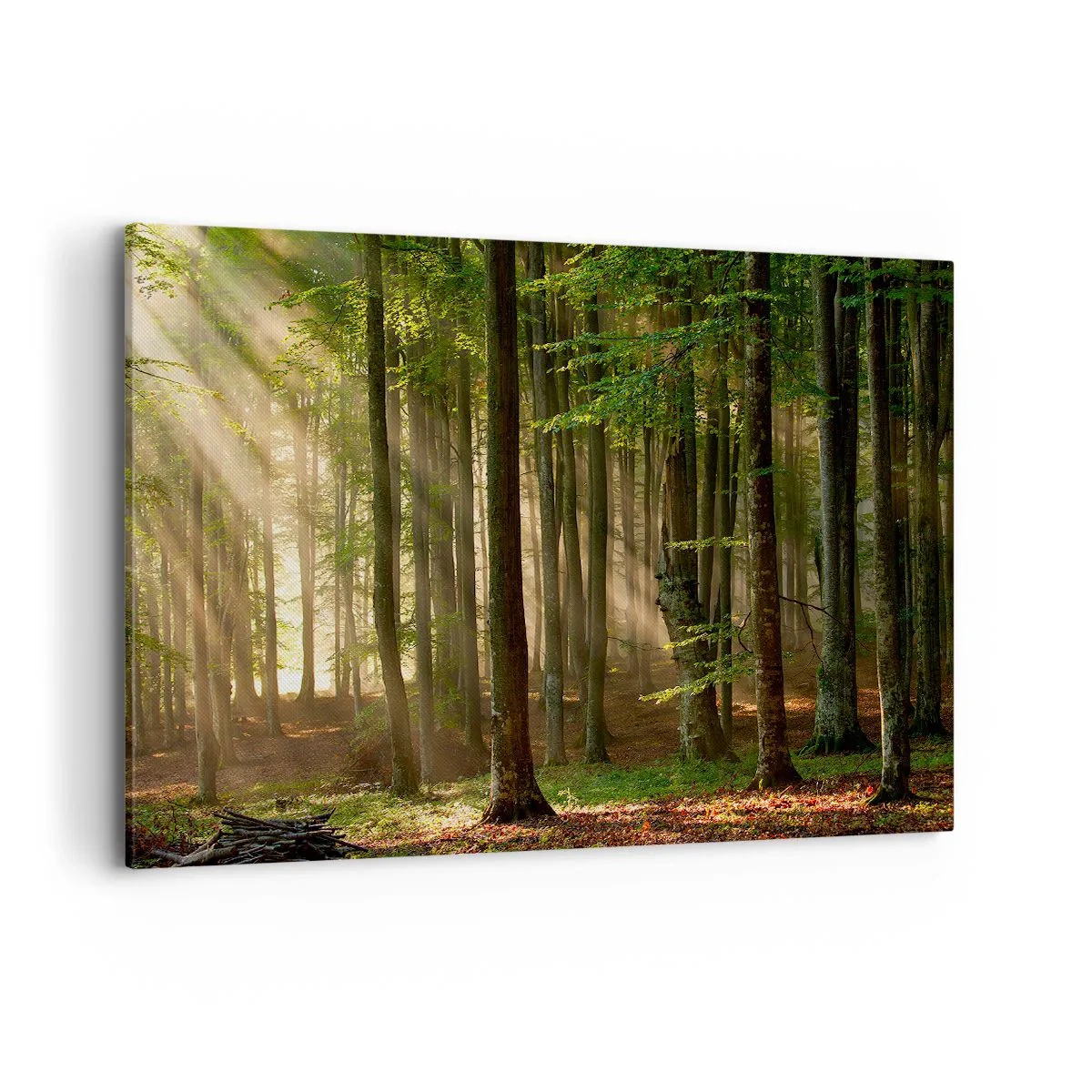 Canvastavla - Bild på duk - Utstrålande på en vårmorgon - 120x80 cm