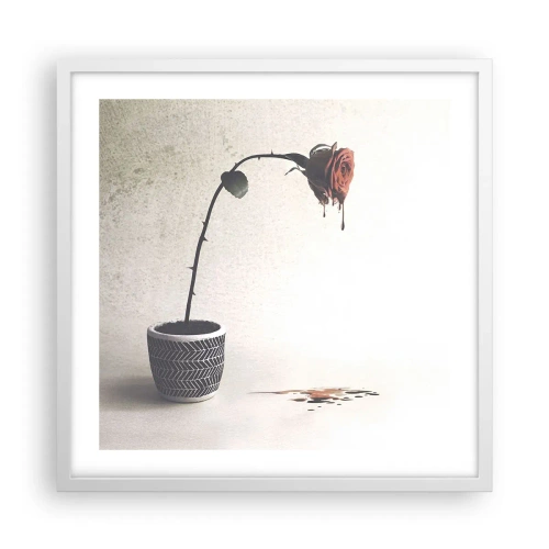 Affisch i vit ram - Rosa dolorosa - 50x50 cm