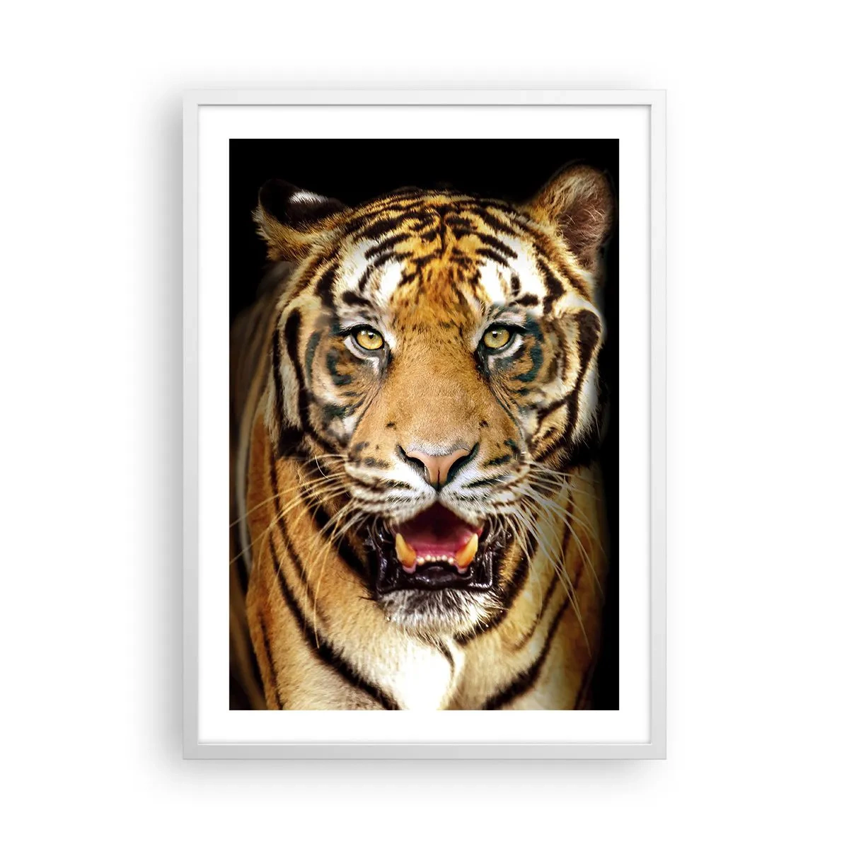 Affisch i vit ram - Vilt hjärta - 50x70 cm