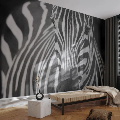 Fototapet Standard Eco - Världen är svart-vit - Djur, Revben, Svartvitt - 350x256 cm