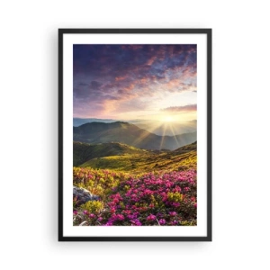 Affisch i svart ram - Blommor i bergen upplysta av solnedgångens strålar - 50x70cm - Fjällmorgonens fräschhet - Modern väggdekoration för vardagsrum och sovrum ARTTOR