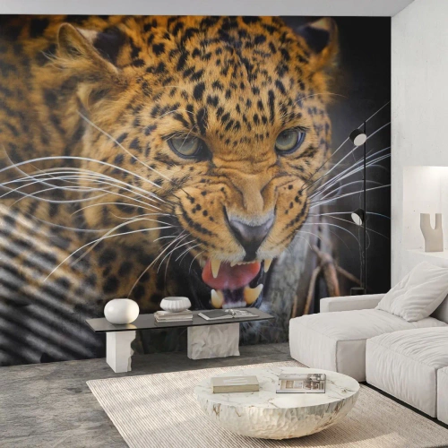 Självhäftande Fototapet Deluxe Sticker - Gå inte fram, jag varnar! - Djur, leopard, Vild katt - 500x350 cm