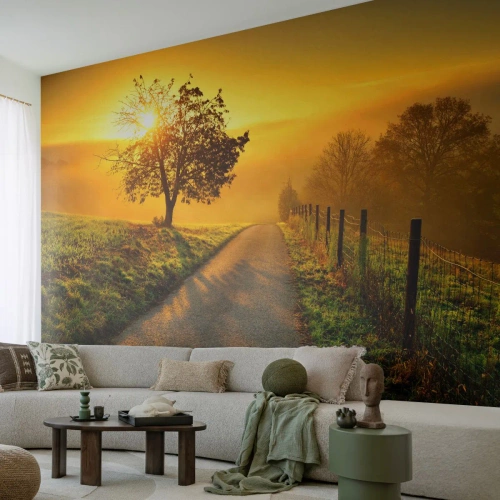 Fototapet Premium Canvas - Honungfärgad eftermiddag - Landskap, Grusväg, Äng - 350x256 cm