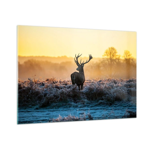 Glastavla - Bild på glas - Krönt på sin mark - 100x70 cm