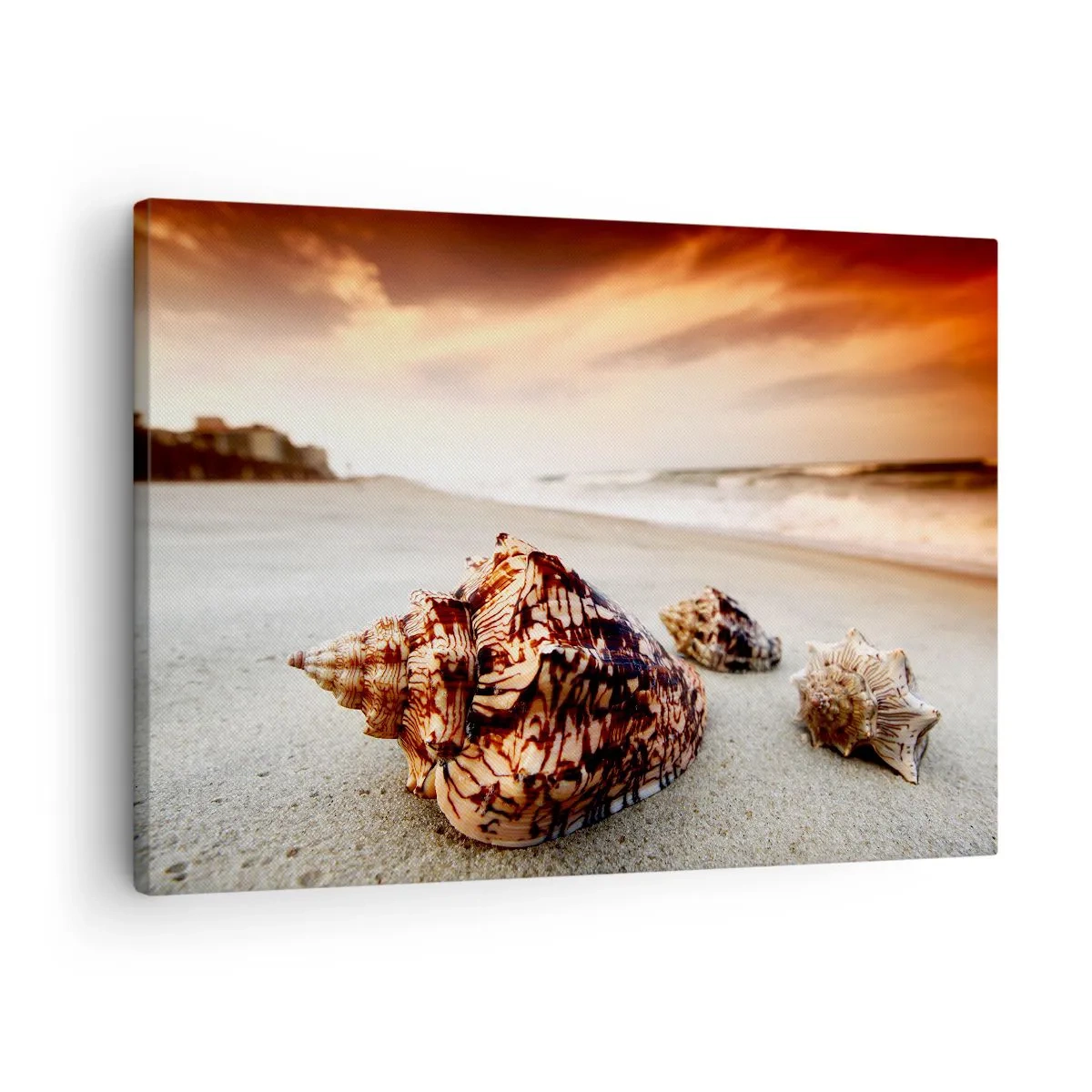 Canvastavla - Bild på duk - Snäckor på stranden vid solnedgången - 70x50cm - Vågböjare - Modern väggdekoration för vardagsrum och sovrum ARTTOR