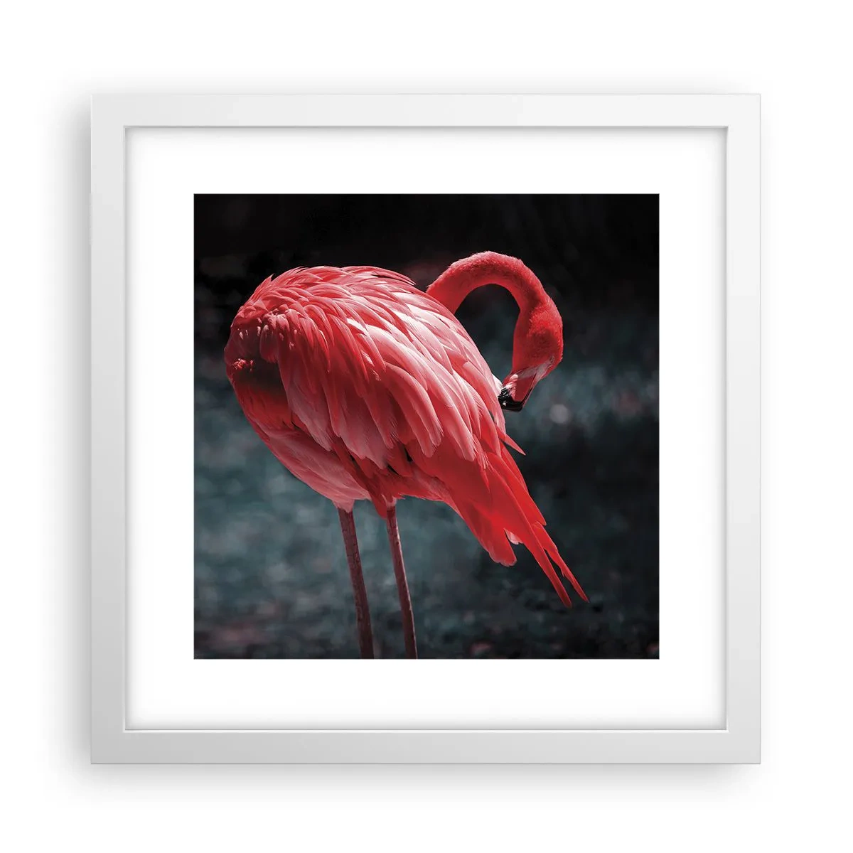 Affisch i vit ram - Djuprött naturpoem - 30x30 cm