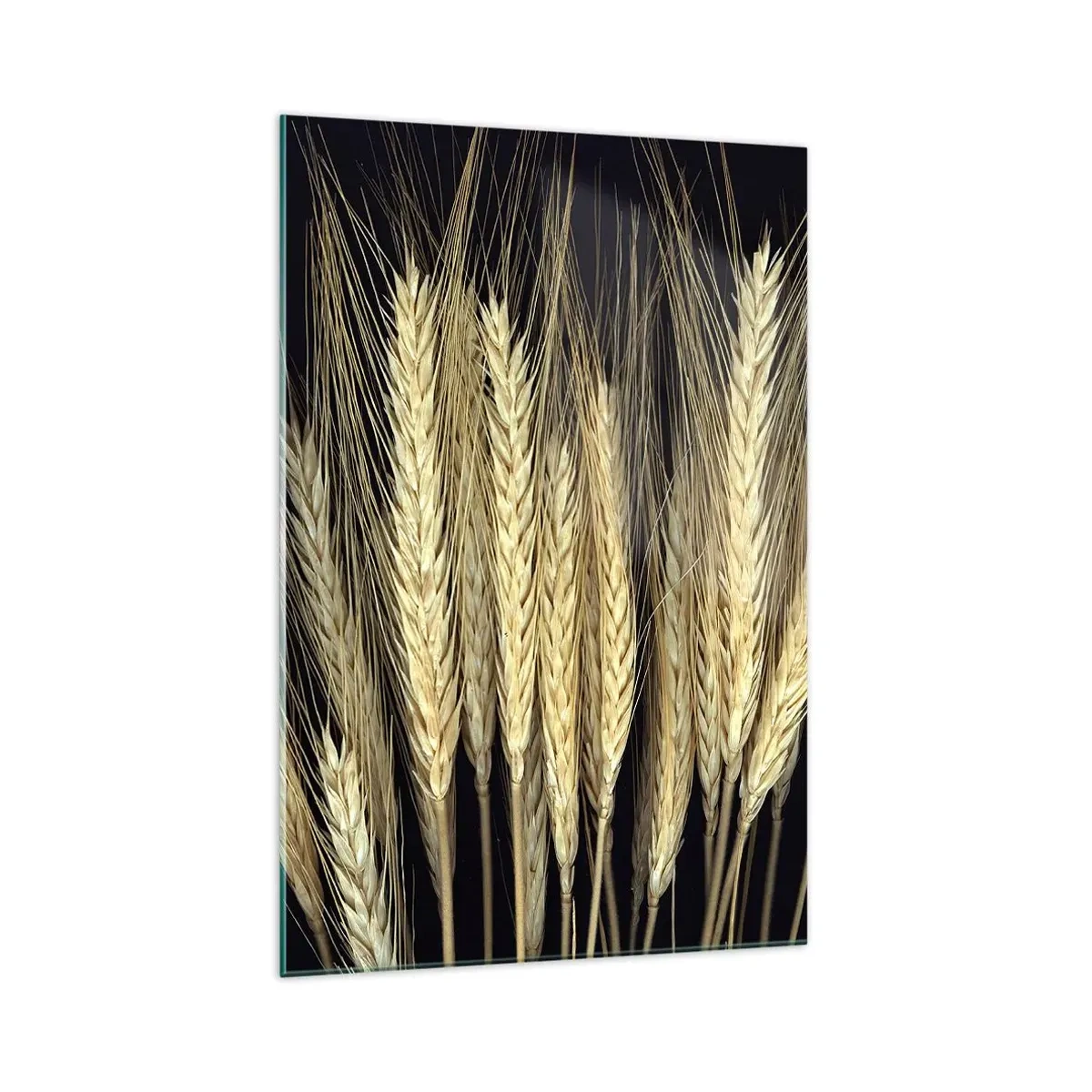 Glastavla - Bild på glas - Rustik magi - 70x100 cm