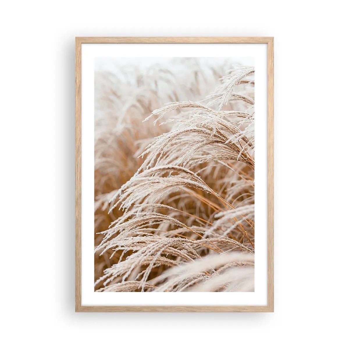 Affisch i ram av ljusek - Buga för höstsolen - 50x70 cm