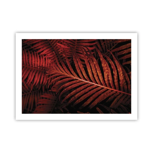 Affisch - Livets glöd - 70x50 cm