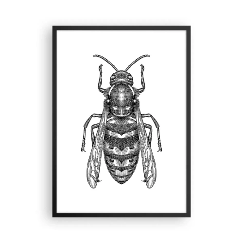 Affisch i svart ram - Detaljerad illustration av en geting - 50x70cm - Från insektplaneten - Modern väggdekoration för vardagsrum och sovrum ARTTOR
