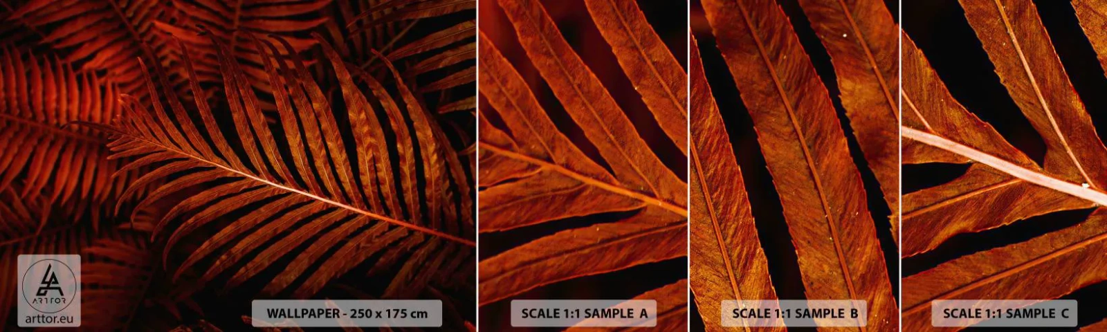 Fototapet Prov Standard Eco - Livets glöd - Abstraktion, Palmblad, Tropisk växt - 100x30 cm