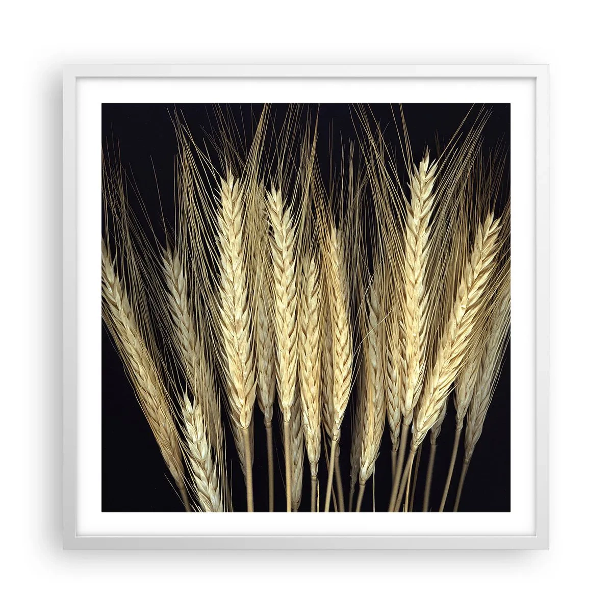 Affisch i vit ram - Rustik magi - 60x60 cm