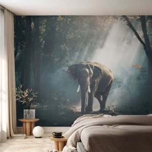 Fototapet på mått Standard Eco - Lugn promenad - Djur, Elefant, Djungel