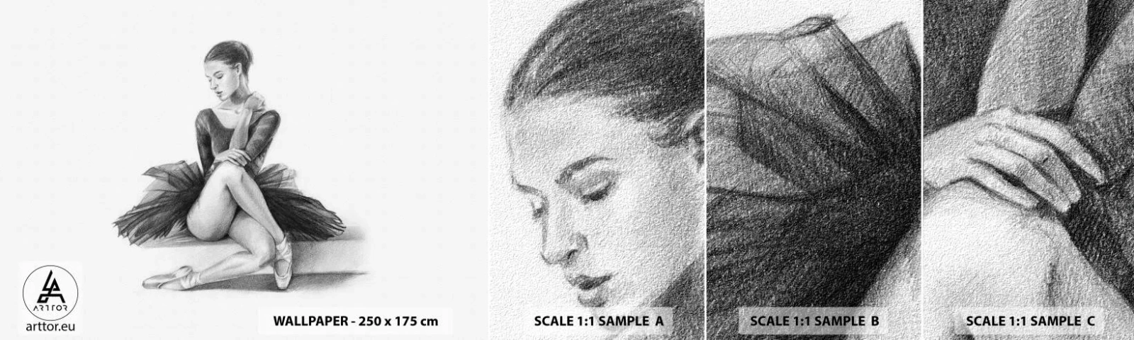 Provbit av självhäftande fototapet Deluxe Sticker - Förtrollad av dansen - Ballerina, Dansa, Balett - 100x30 cm