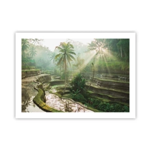 Affisch - Växa upp i solsken - 70x50 cm