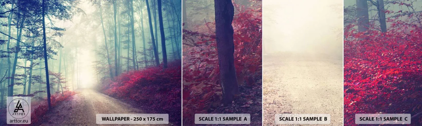 Fototapet Prov Standard Eco - Det är bra att gå upp tidigt - Landskap, Skog, Skogsväg - 100x30 cm