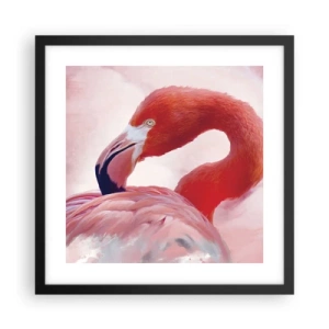 Affisch i svart ram - Fågelns skönhet - 40x40 cm