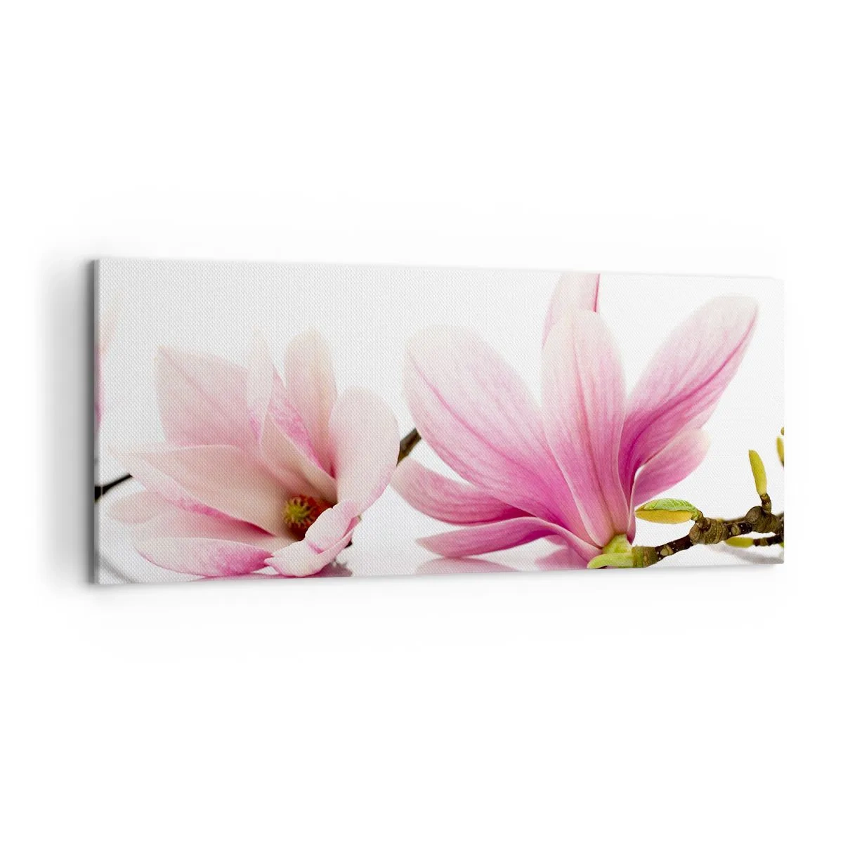 Canvastavla - Bild på duk - Lätta som vårkänslan - 100x40 cm
