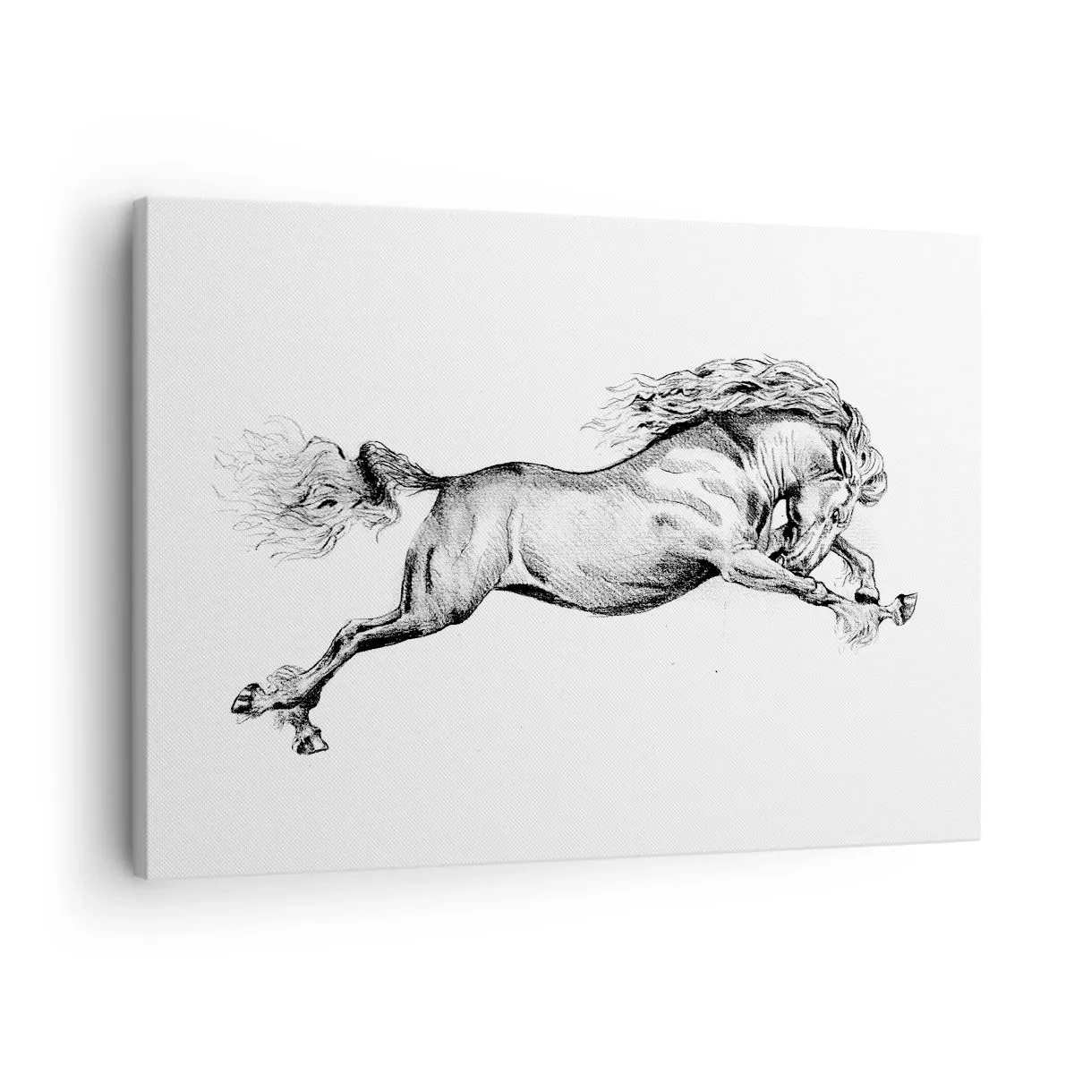 Canvastavla - Bild på duk - Skiss av en häst i dynamisk galopp på vit bakgrund - 70x50cm - Fångad i galopplopp - Modern väggdekoration för vardagsrum och sovrum ARTTOR