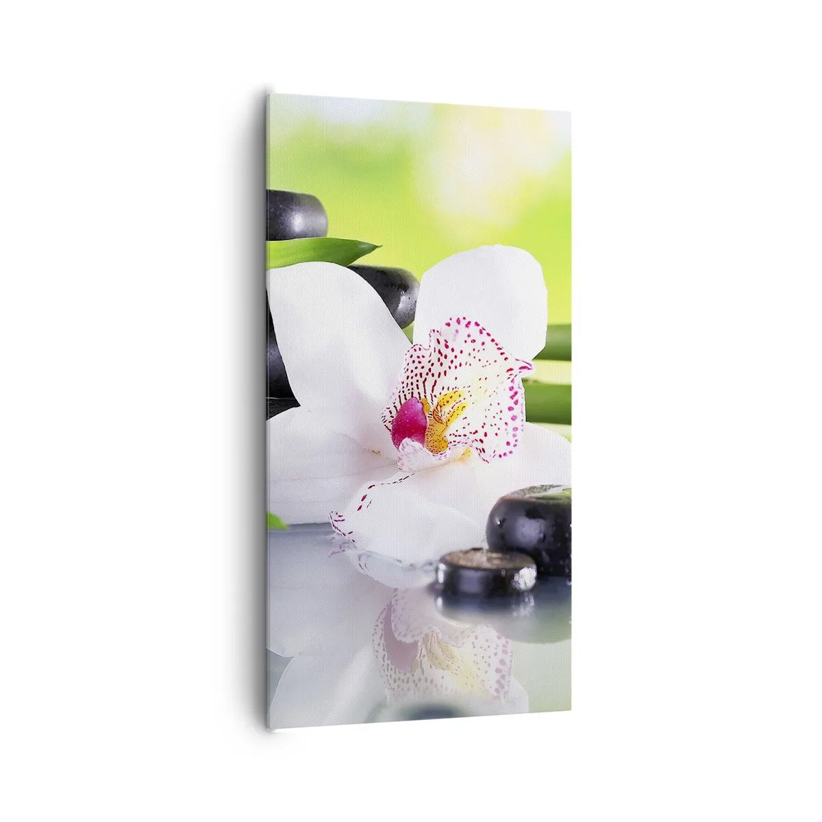 Canvastavla - Bild på duk - Sval fräschhet - 65x120 cm