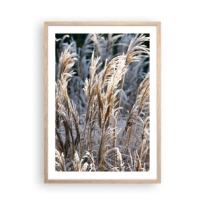 Affisch i ram av ljusek - Frostprydda - 50x70 cm