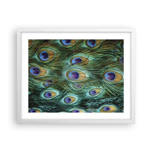 Affisch i vit ram - Påfågels blick - 50x40 cm