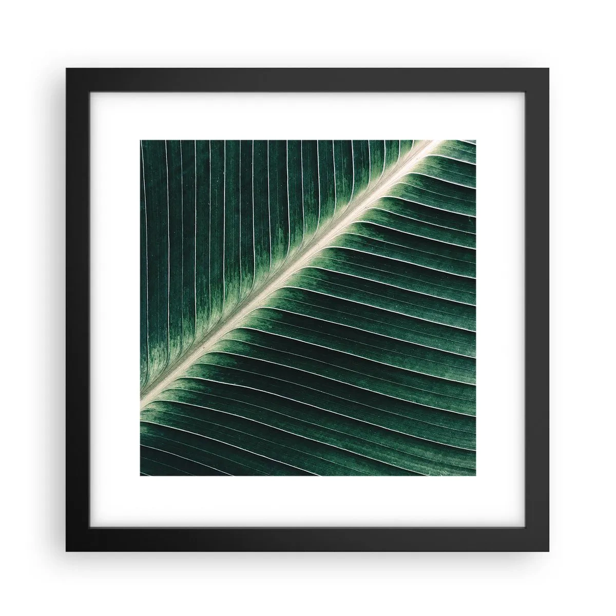 Affisch i svart ram - Naturens rytm - 30x30 cm
