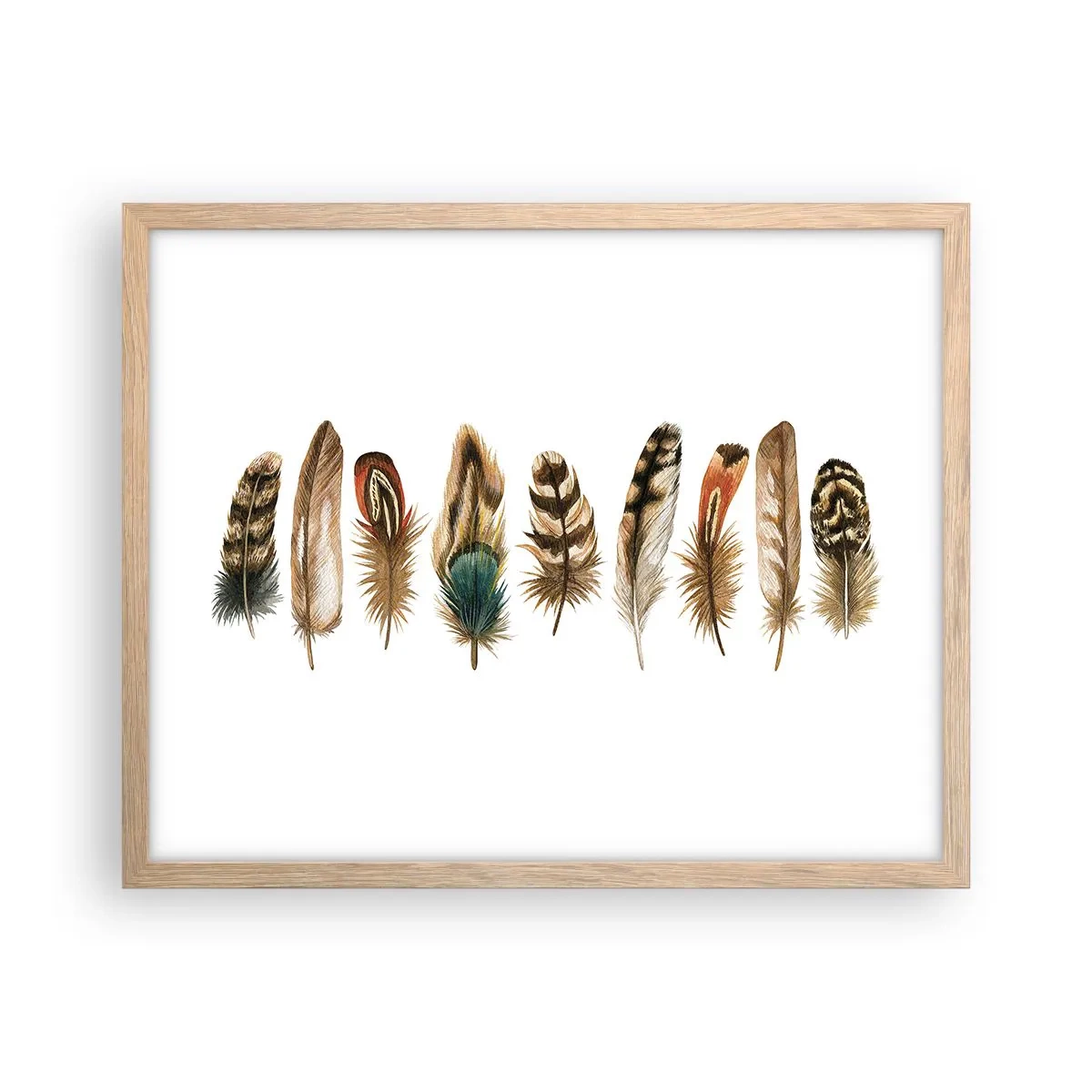 Affisch i ram av ljusek - Fjädervariation - 50x40 cm