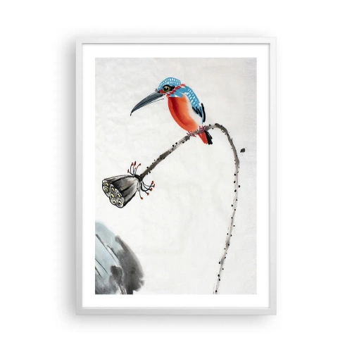 Affisch i vit ram - Ängens liv - 50x70 cm