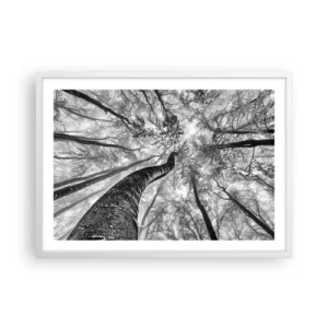 Affisch i vit ram - Kapplöpning mot ljuset - 70x50 cm