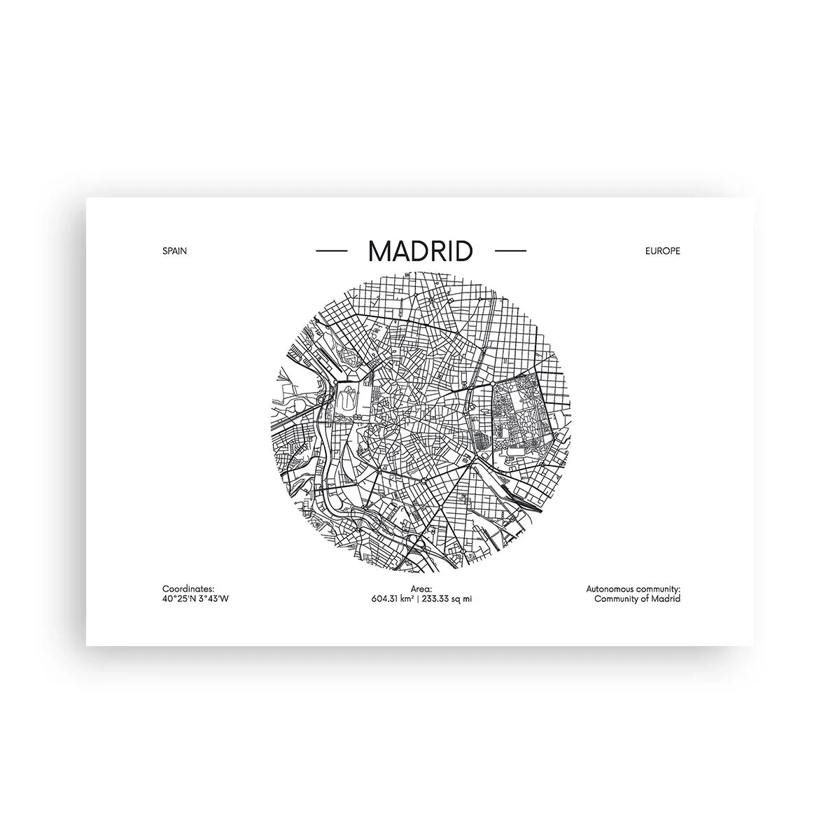 Affisch - Madrids anatomi - 91x61 cm