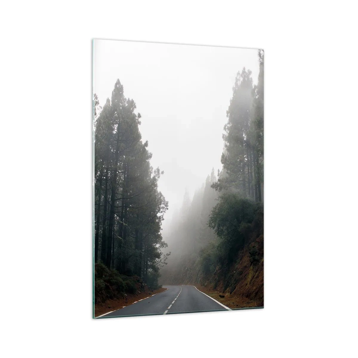 Glastavla - Bild på glas - Magiska skogens berättelse - 70x100 cm