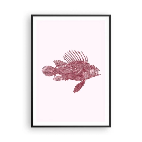 Affisch i svart ram - En invånare i exotiska vatten - 70x100 cm