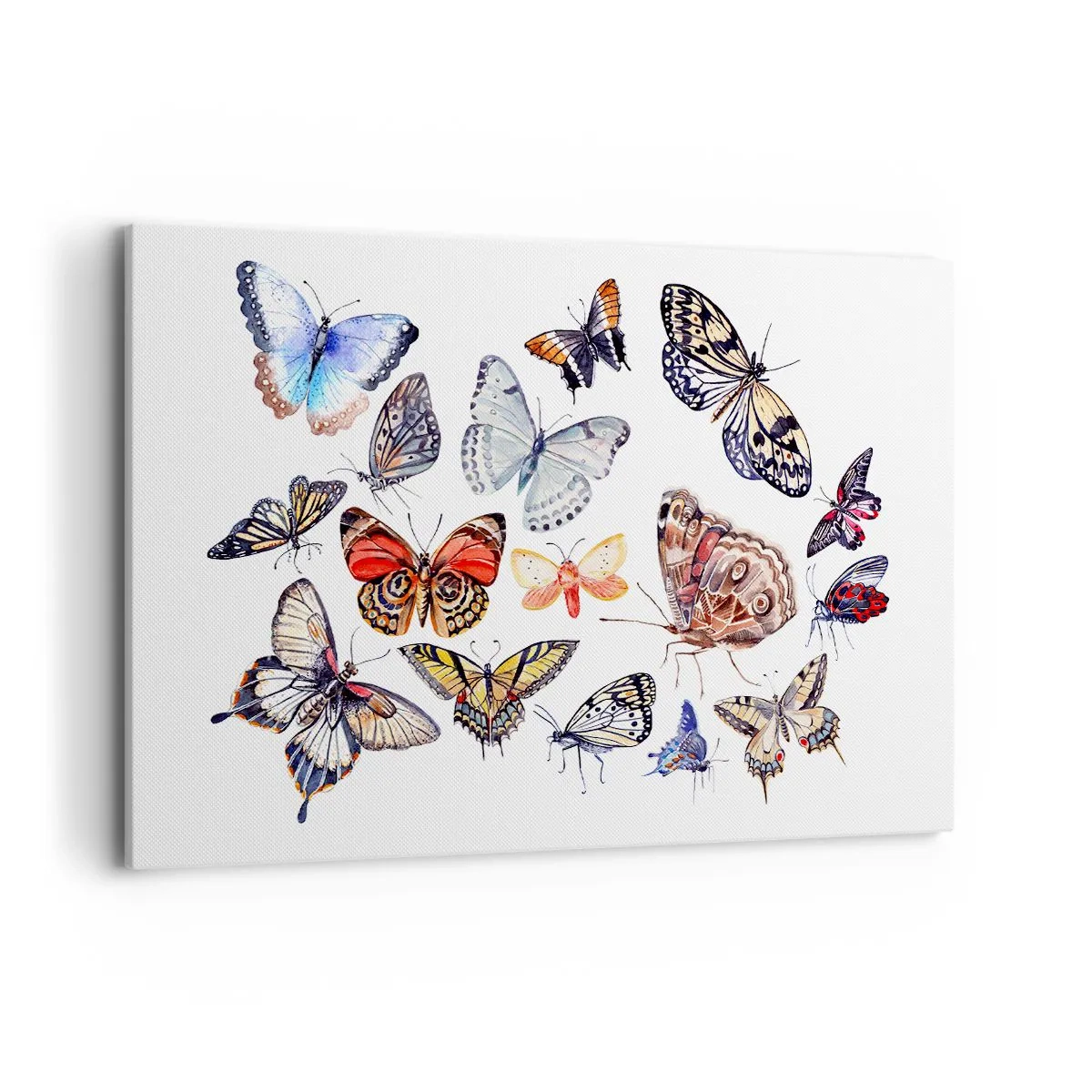 Canvastavla - Bild på duk - Färgglada fjärilar - 120x80 cm