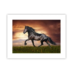 Affisch - Svarta prinsen - 40x30 cm