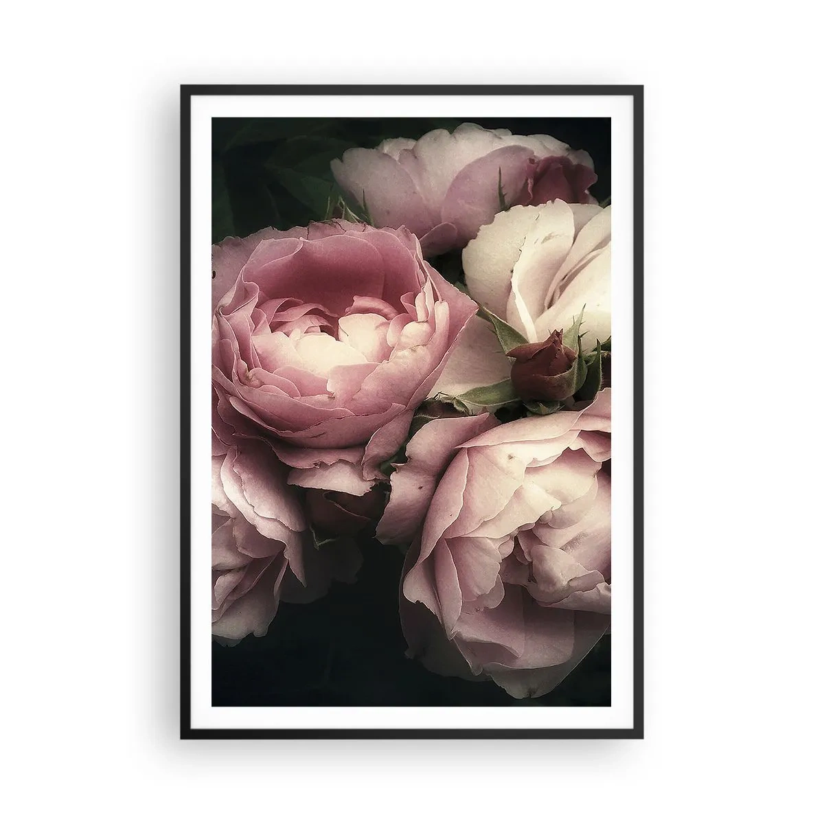 Affisch i svart ram - Belle epoque charm - 70x100 cm