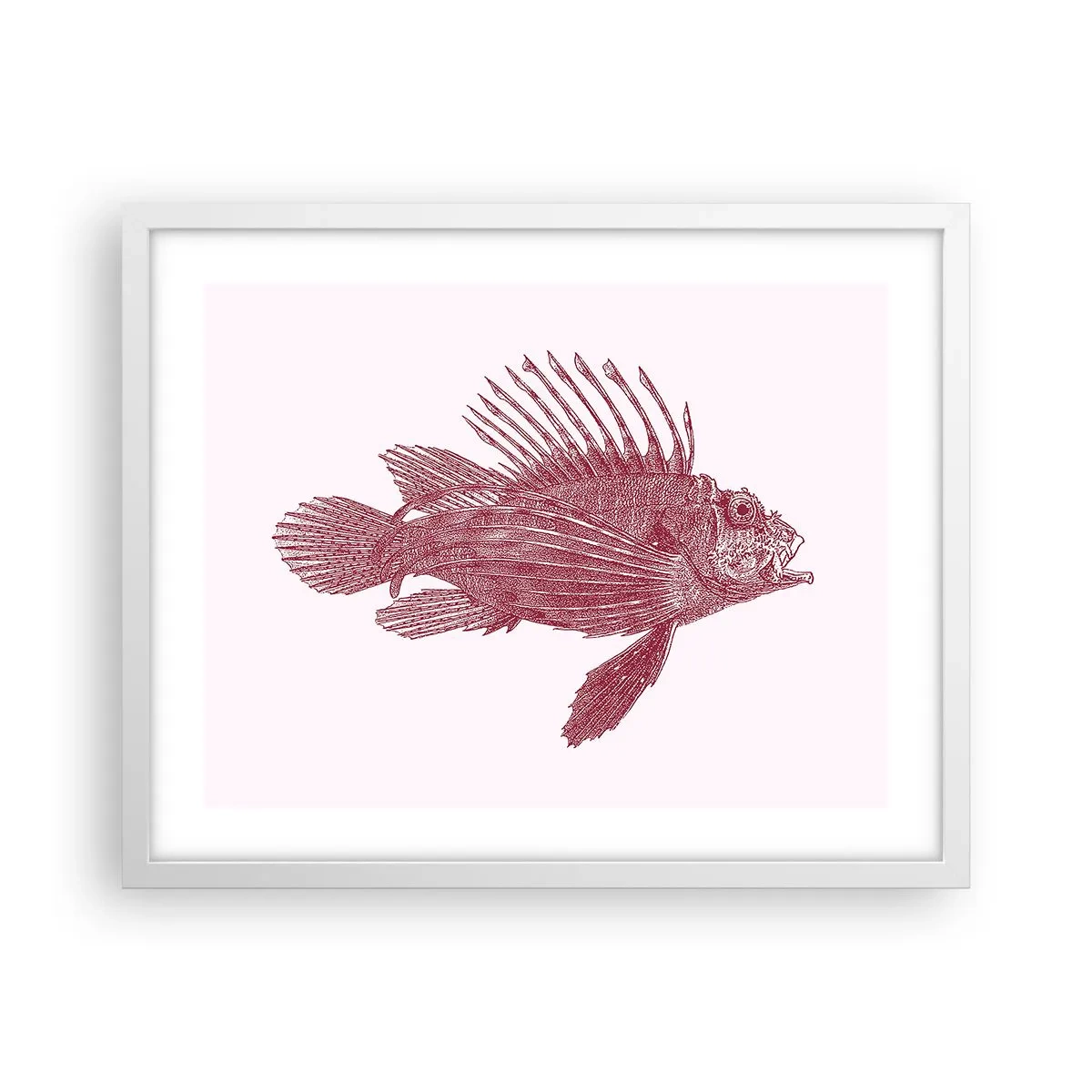 Affisch i vit ram - En invånare i exotiska vatten - 50x40 cm