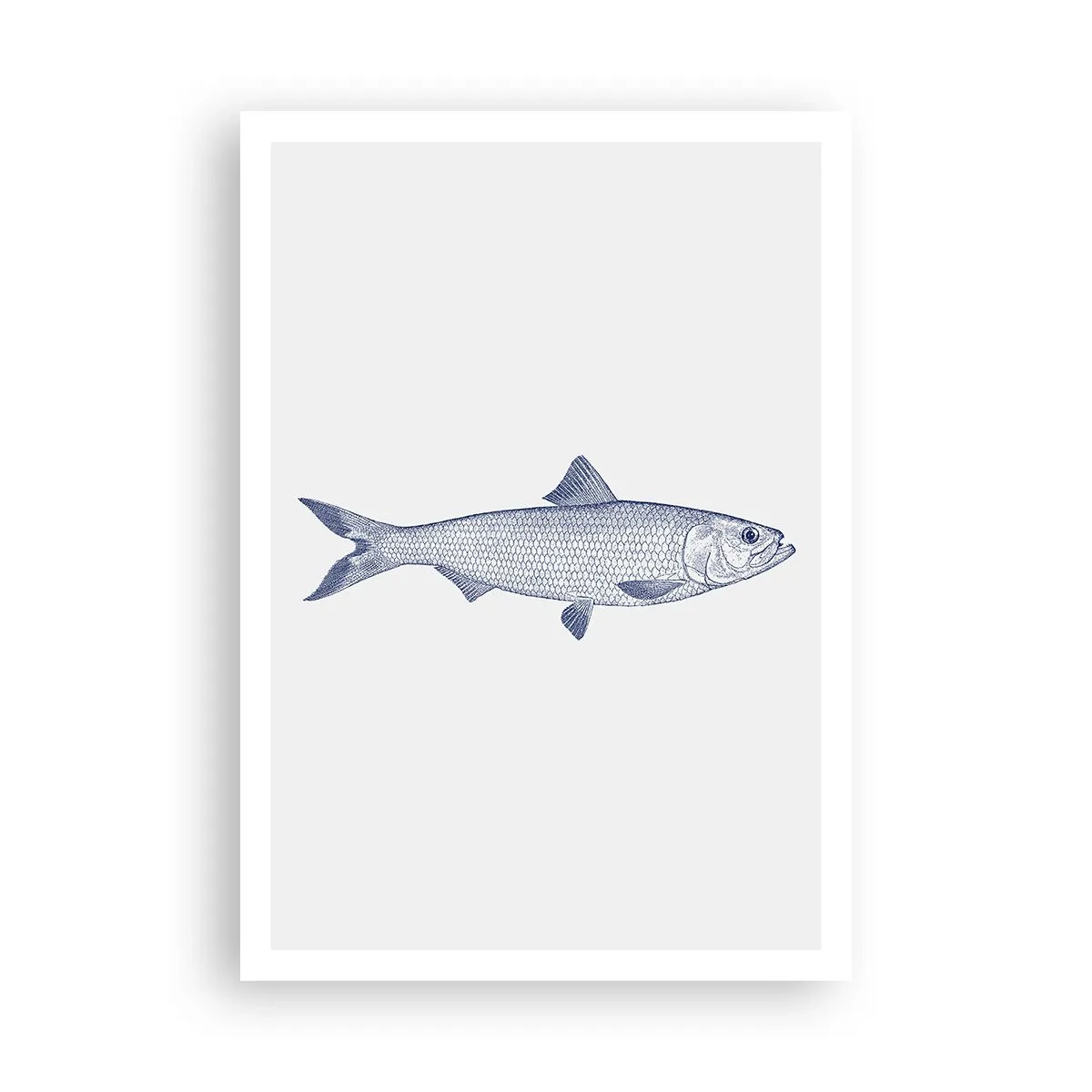 Affisch - Hälsningar från de nordliga haven - 70x100 cm