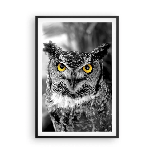 Affisch i svart ram - Inget kommer undan - 61x91 cm
