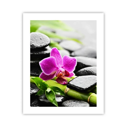 Affisch - Lugn balans - 40x50 cm